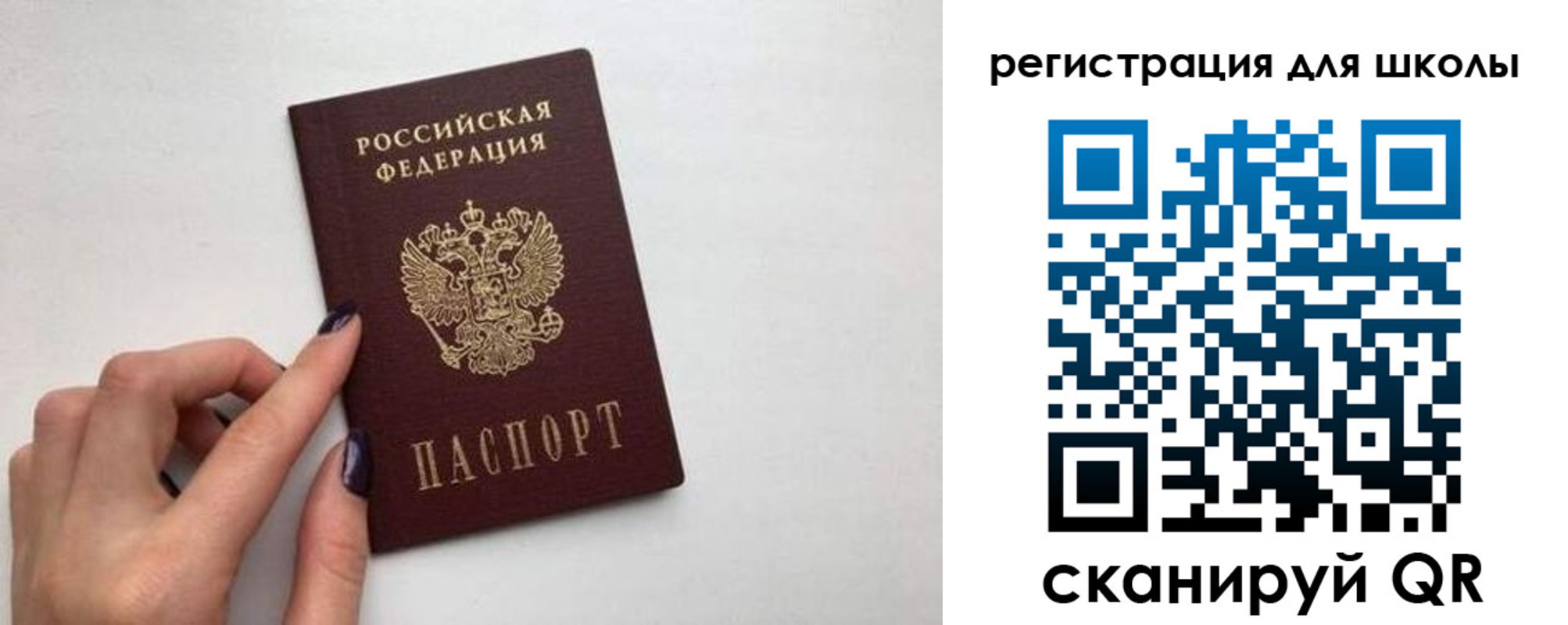 прописка поиск в Лесном